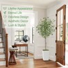 Artificial Eucalyptus Tree, Faux Eucalyptus Tree with Tall White Planter - 4 of 4
