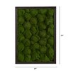 Nearly Natural 17-in X 24-in Artificial Moss Hanging Frame - 2 of 3