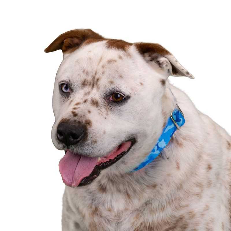 Country Brook Petz 1 1/2 Inch Premium Blue Bone Camo Dog Collar, 2 of 7