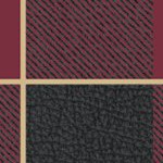 florida state seminoles athletic wordmark