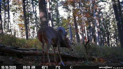 Guest review image 2 of 2, zoom in