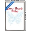 Trends International Stone Temple Pilots - Butterfly Framed Wall Poster Prints - 3 of 4