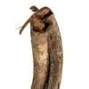Vickerman 38-45" Twisted Vine, Dried - 4 of 4