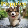 TF Publishing 13.5"x14.5" 2026 Puppies Wall Calendar - 2 of 4