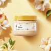 Dove Beauty Garden Tea Party Body Scrub - Honeysuckle Gardenia - Limited Edition - 15oz - 3 of 4