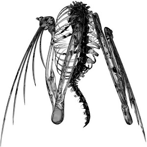 Lotic - Heterocetera (Vinyl) - 1 of 1