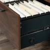 Lateral File, finish - 3 of 4