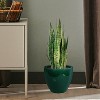 Sunnydaze Resort Outdoor/Indoor High-Fired Glazed UV- and Frost-Resistant Ceramic Flower Pot Planter with Drainage Holes - 4 of 4