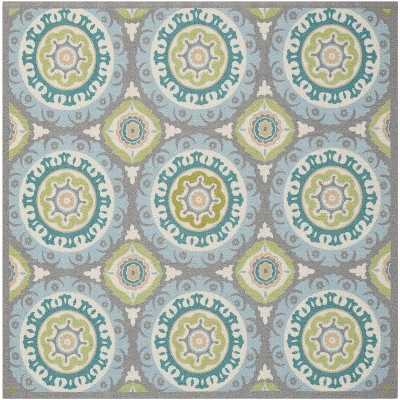 Waverly Sun N' Shade Solar Flair Indoor/outdoor Area Rug