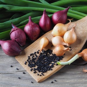 Van Zyverden 25ct Allium White Bulbs - 1 of 4