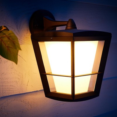 Black Metal and Glass Outdoor Smart Wall Lantern with LED