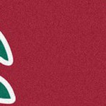 stanford cardinal