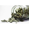 Organic Lungwort Dried Leaves Cut & Sifted 2 Oz - 4 of 4
