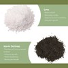 Soil Sunrise Elephant Ear Potting Soil Mix, Colocasia Esculenta Potted Plant Blend - 3 of 4