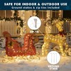 Joiedomi 3D Christmas Reindeer and Outdoor Sleigh Yard Light 2 Pcs Christmas Outdoor Decorations - 4 of 4