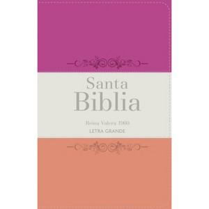 Biblia Rvr 1960 Letra Grande Tamaño Manual Tricolor Fucsia Crema Melón Con Cierre E Índice (Bible Rvr 1960 Large Print Handsize Leatherlike Tricolor - 1 of 1