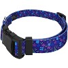 Country Brook Petz Deluxe Dog Collar - Floral Collection - 2 of 4
