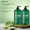 Botanic Hearth Tea Tree Body Wash Helps Soothe Itchy, Dry Skin - 16 fl oz Set of 2 - 3 of 4