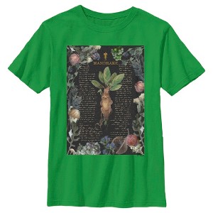 Boy's Harry Potter Mandrake Root Recipe T-Shirt - 1 of 4