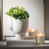 Sullivans Succulent 1/2 Orb Decorative Filler 4.5"H Green - 3 of 3
