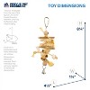 Prevue Pet Products Naturals Physical & Mental Princess Bird Toy 62553 - 3 of 3