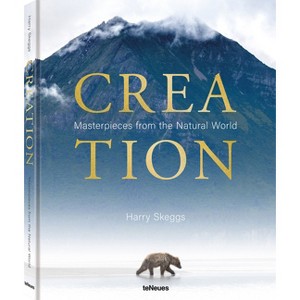 Creation - (Hardcover) - 1 of 1