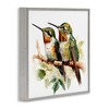 Stupell Industries Green Hummingbirds Duo Black Framed Giclee Art - 3 of 4