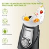 VAVSEA 3-in-1 Smoothie Blender 1000W Blenders and Grinder Combo for Kitchen with 2 Speeds & Pulse, BPA-Free - 2 of 4