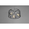 Progress Lighting Remix 3-Light Pendant, Steel, Graphite, Open Cage Design, Brushed Nickel Accents, Canopy Included - 3 of 4