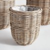 Plum & Post Arlette Basket Planters Set of 3 - 3 of 4