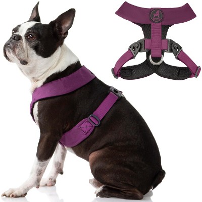 Gooby Comfort X Dual Snap Harness Purple, Small
