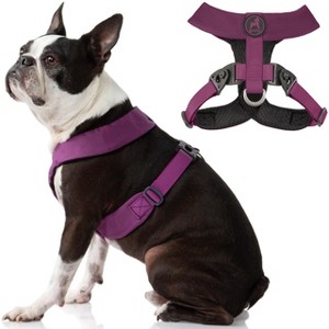 Gooby Comfort X Harness Dual Snap, Purple, Large - 1 of 1