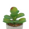 Unique Bargains Artificial Plants Mini Desert Rose in Pulp Plastic 3.15"x3.15"x4.13" 1Pcs - 4 of 4