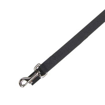 Casual Canine Basic Nylon Dog Leash, 4-Feet x 5/8-Inch Lead, Jet Black