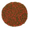 Mystic Sprinkles Tis The Season Nonpareil Mix 4 oz. - 4 of 4