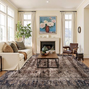 AMERLIFE Area Rug, Machine Washable Vintage Carpet with Non-Slip Backing, Soft Rug for Living Room, Bedroom, Hallway Use - 1 of 4