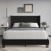 Home Design Niles Queen Upholstered Panel Bed, Black - 2 of 4