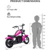 Electric Motorcycle for Kids, 24V 250W Kids Electric Dirt Bike, Two Speed Max Up to 14MPH & 60 Minutes Continuous, with Led Lights - 4 of 4