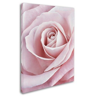 Trademark Fine Art -Cora Niele 'Pink Rose' Canvas Art