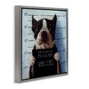 Stupell Industries Boston Terrier Jail Convicted Mugshot, 25" x 25" - 3 of 4