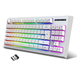 RISOKEYS 87 Keys RGB Backlit  Keyboard Ergonomic Mini Keyboard Office Gaming Silent Keyboards for PC Laptop Mac (White) - 1 of 1