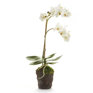 Plum & Post Phalaenopsis Orchid Faux (Fake) Drop-In 17" - 1 of 2