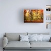 Trademark Fine Art -Philippe Sainte-Laudy 'Fall Color' Canvas Art - 2 of 4