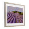 Stupell Industries Lavender Fields Farmland Framed Print Under Glass, Brown, 16" x 13" - 2 of 4