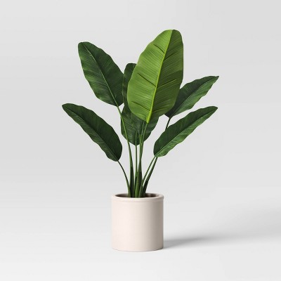 Large Banana Leaf Potted Plant - Threshold™