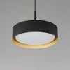 ET2 Lighting Echo 1 - Light Pendant in  Black/Gold - 2 of 3