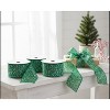 Wired Speckled Ribbon Green and White Pattern – 2.5" Wide by Melrose - 3 of 3