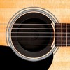 D'Addario Screaching Halt Guitar Soundhole Plug - image 3 of 4