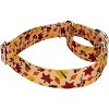 Country Brook Petz Martingale Dog Collar - Awesome Autumn Collection - 3 of 4