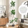 Artificial Plants Rubber Tree with Black Resin Pot& White Stone Faux Fiddle Leaf Fig Tree Indoor Artificial Trees - 4 of 4